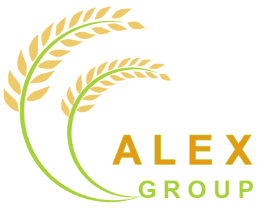 ALEX GROUP - GẠO VIỆT NAM