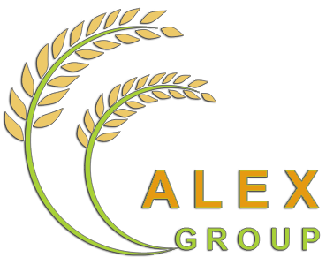 ALEX GROUP - GẠO VIỆT NAM